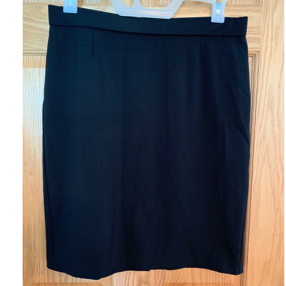 Briggs New York skirt